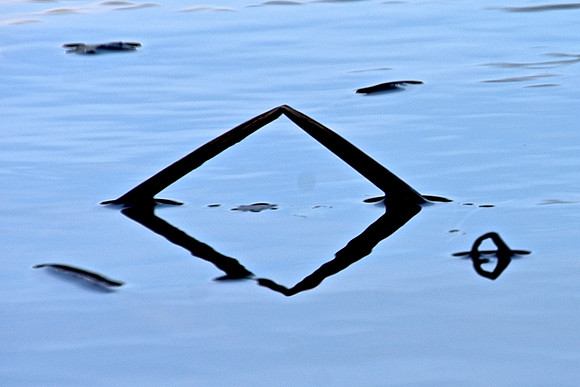 Geometry in Nature 24