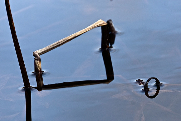 Geometry in Nature 22