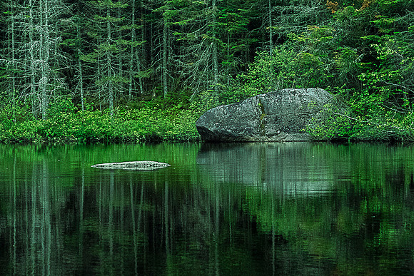 Reflections on Rainbow Narrows