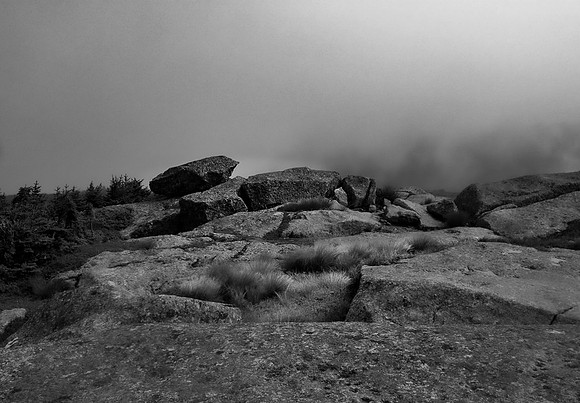 Algonquin Summit 2