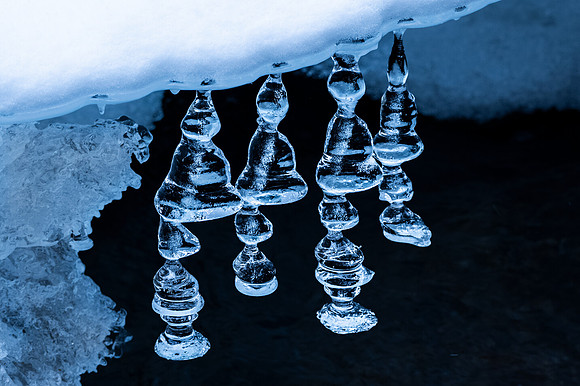 Winter Jewels, The Branch, North Hudson