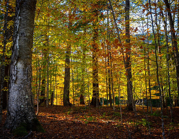 Beckoned by the Light, Ausable Club, Keene Valley