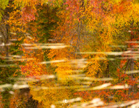 The Flow Reflections, Boreas Ponds, North Hudson