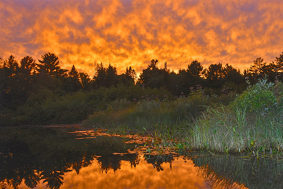 Sky on Fire, Jones Brook, Minerva