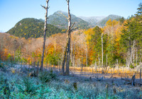 "First Frost" Lake Road, Ausable Club, Keene Valley