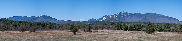 Whiteface in the Spring