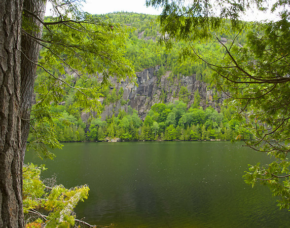 Peeking at Chapel Pond