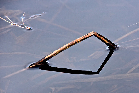 Geometry in Nature 7