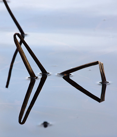 Geometry in Nature 4