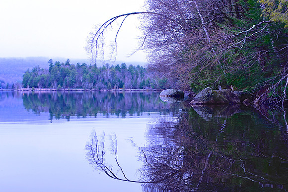 Lincoln Pond, Elizabethtown