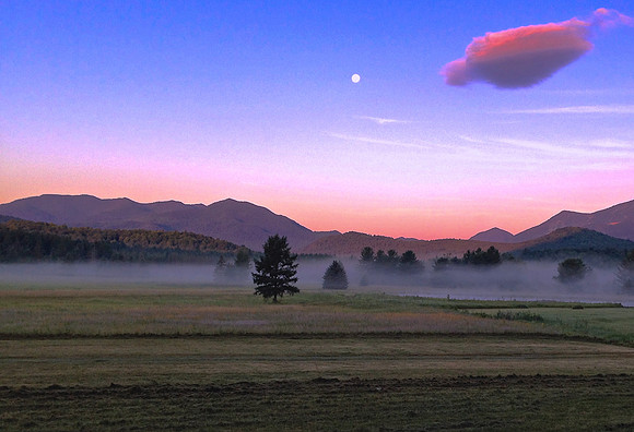 Sunrise Farm in Wilmington 1