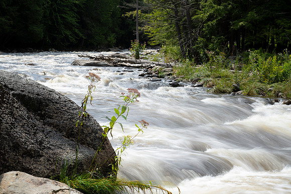 "Three Flowers" Below The Gorge, Wilmington