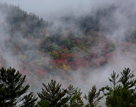 Fall Fog, North Hudson