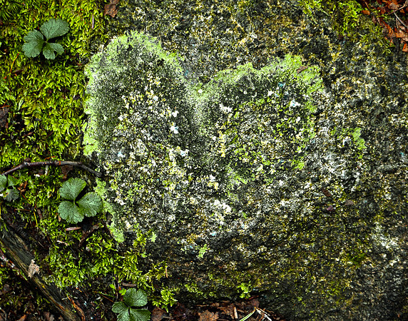 Heart on Porter