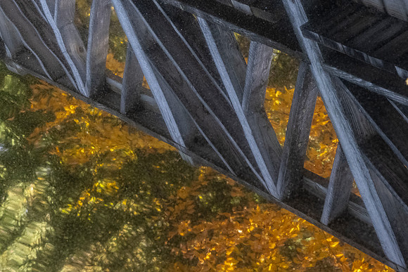Heron Marsh Trail Bridge Reflection, The Vic at Paul Smiths