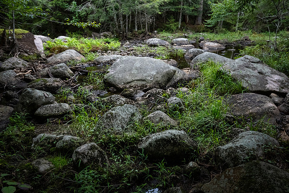 "Rocks Gather Around" Blue Mountain Lake
