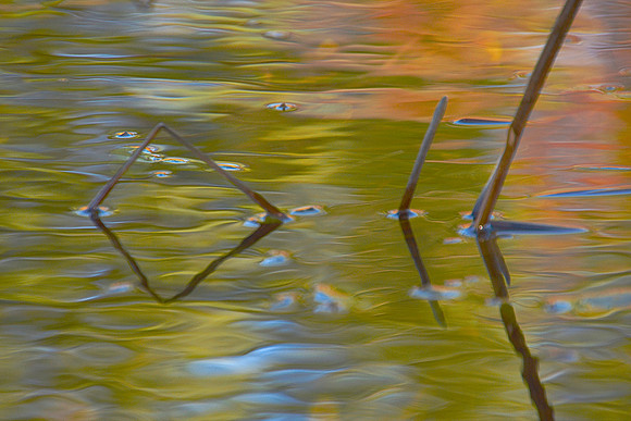 Geometry in Nature 34