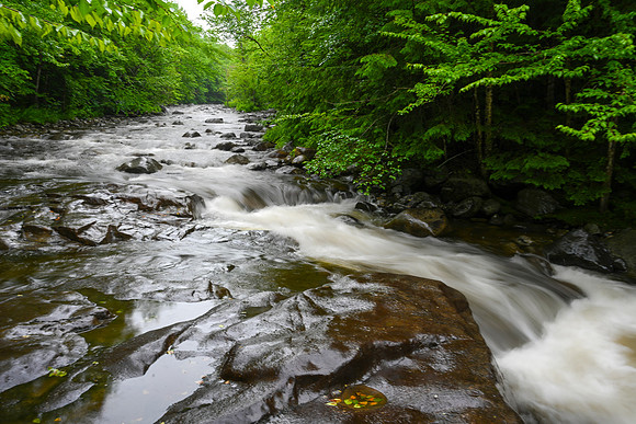 "After the Rain" The Branch, North Hudson