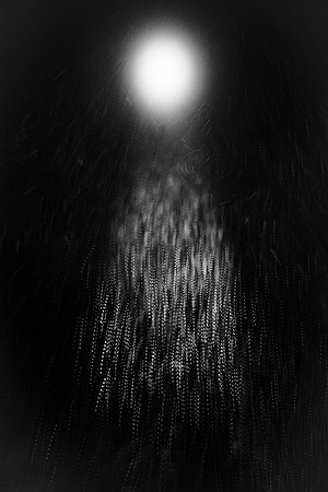 SnowLight 3 B&W