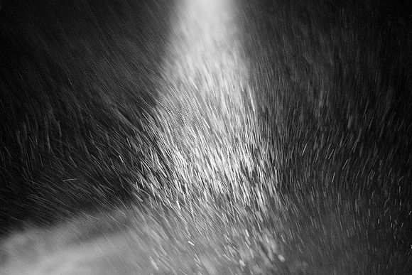 SnowLight 2 B&W