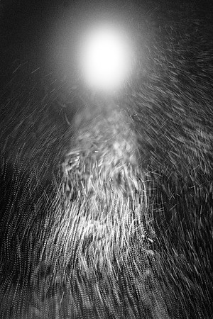 SnowLight 5 B&W