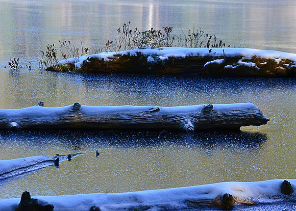 Bass Pond, North Hudson