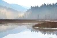 Transitions inn Blue, Berrymill Pond Reflections, North Hudson
