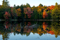 Church Pond-Fall, Paul Smiths