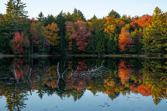 Church Pond-Fall, Paul Smiths