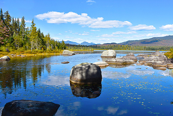 Wolf Pond, Newcomb 1