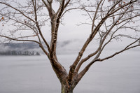 "Holding On" Schroon Lake
