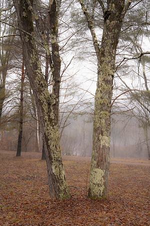 "Reconciliation" Schroon Lake