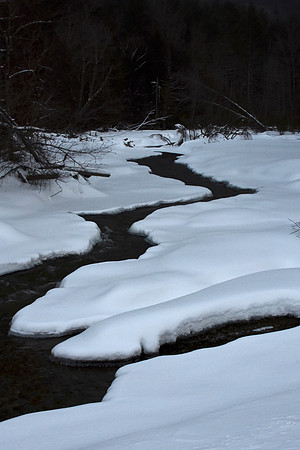 Nickel Vly Brook, Speculator 1