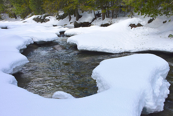 Nickel Vly Brook, Speculator 2