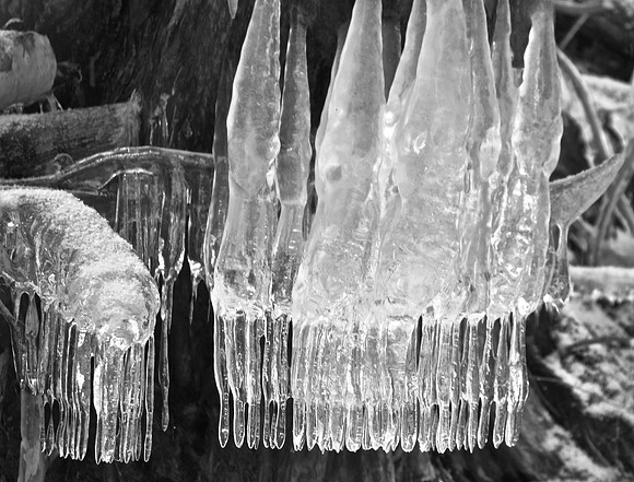 Ice Formation, Hoffman Notch Brook, North Hudson