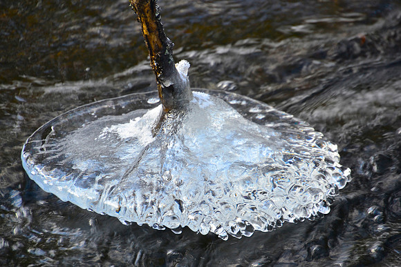 Ice Formation, Trail to Hammond Pond, North Hudson