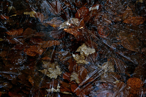Ice Formation, Trail to Haystack, Lake Placid 1