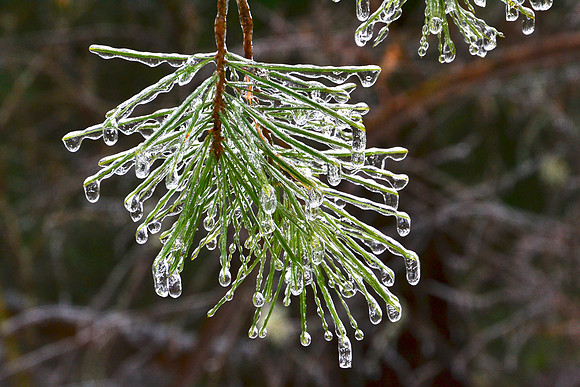 Ice Storm, North Hudson 3