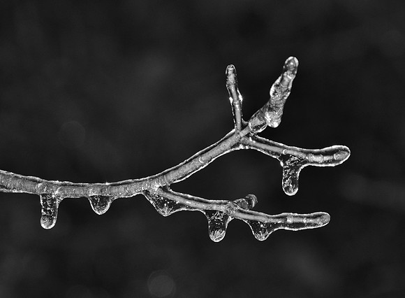 Ice Storm, North Hudson 4