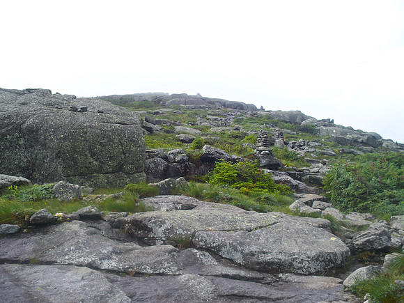 Algonquin Summit 1