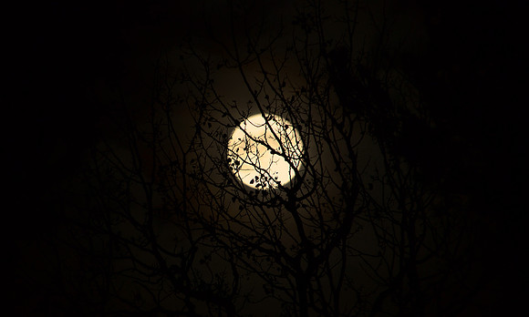 Night Sky, Moon, North Hudson 2