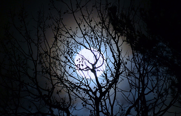 Night Sky, Moon, North Hudson 1