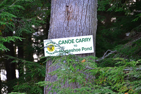 Canoe Carry, Follensby Clear Pond, Saranac