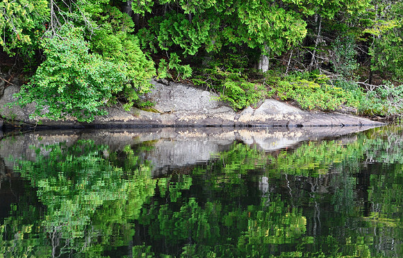 Reflections, Sanford Lake 1