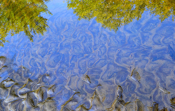 Sand Formations, Schroon River, North Hudson 4