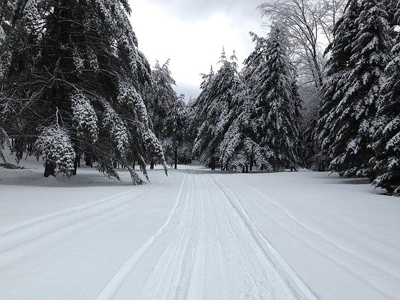Snowmobiling, Old Forge