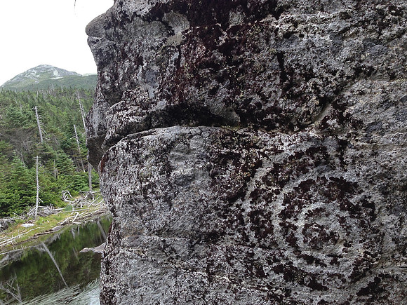 Rock Squirl, Lake Tear of the Clouds, Source of the Hudson River