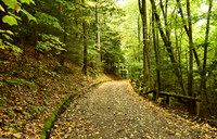 Trail to the Mouth of the Boquet, Noblewood Park, Willsboro