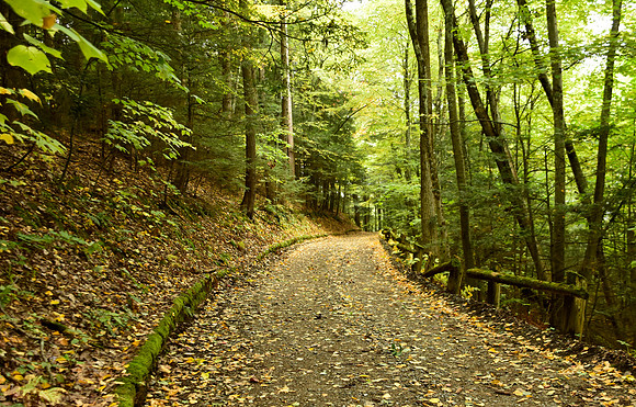 Trail to the Mouth of the Boquet, Noblewood Park, Willsboro