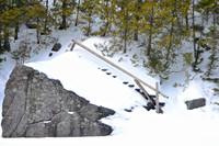 Avalanche Lake Trail